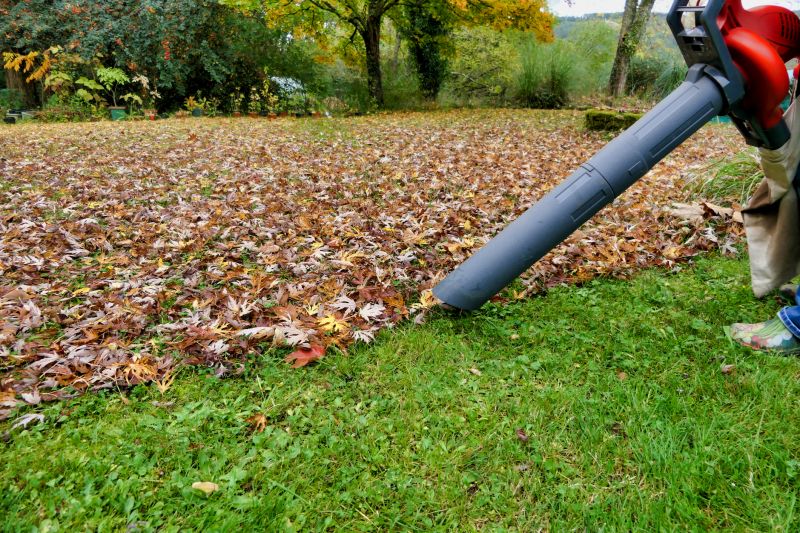 Fall Lawn Preparation