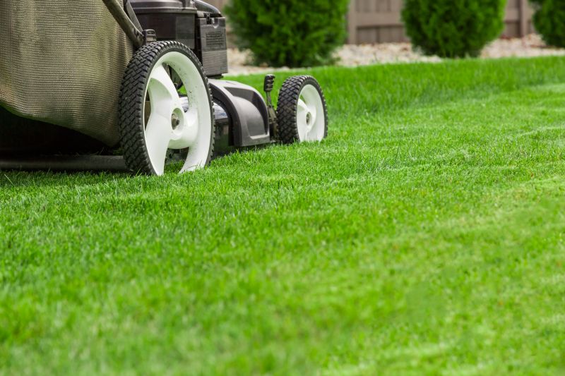 Routine Lawn Maintenance
