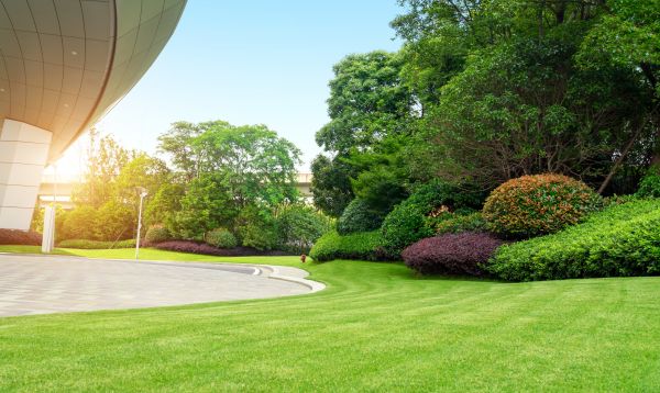 Commercial Lawn Care in Andover