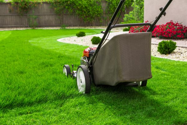 Home Yard Maintenance in Andover