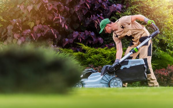 Lawn Care And Maintenance in Andover