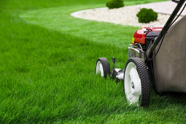 Mowing Service in Andover