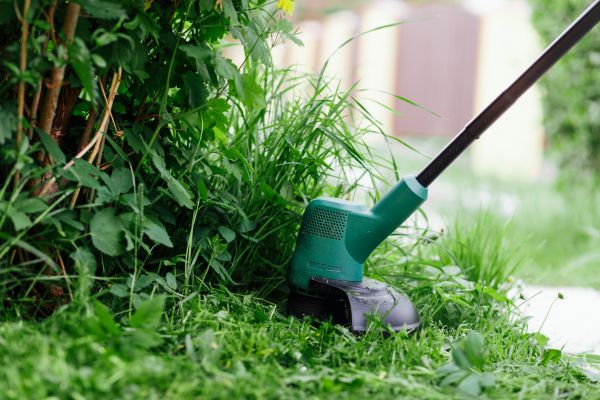 Weed Whacking in Andover