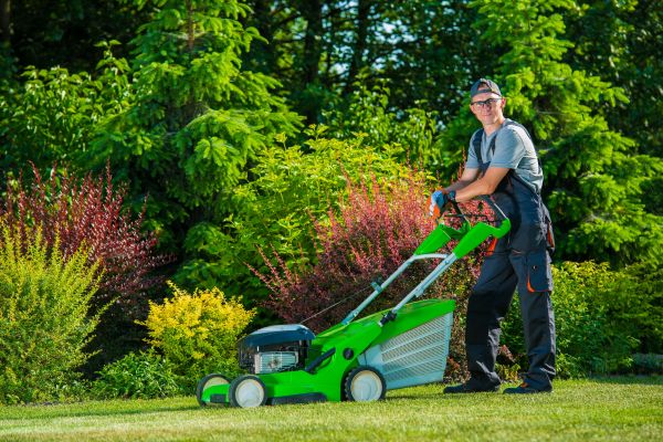 Yard Work Service in Andover