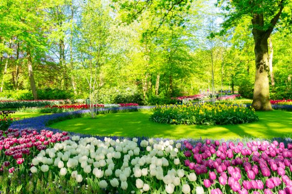 Spring Lawn Care in Andover