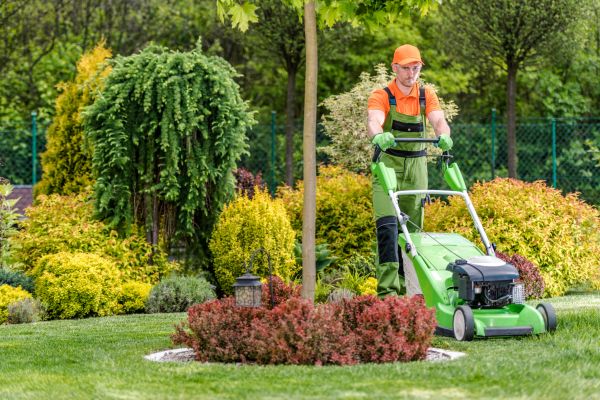 Commercial Yard Maintenance in Andover