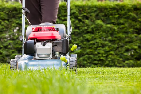 Grass Trimming Service in Andover