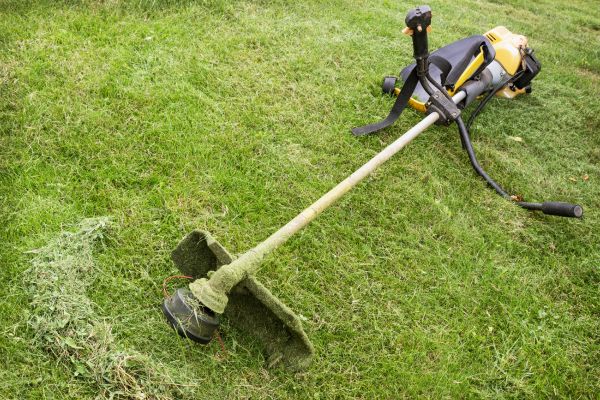 Hillside Weed Whacking in Andover