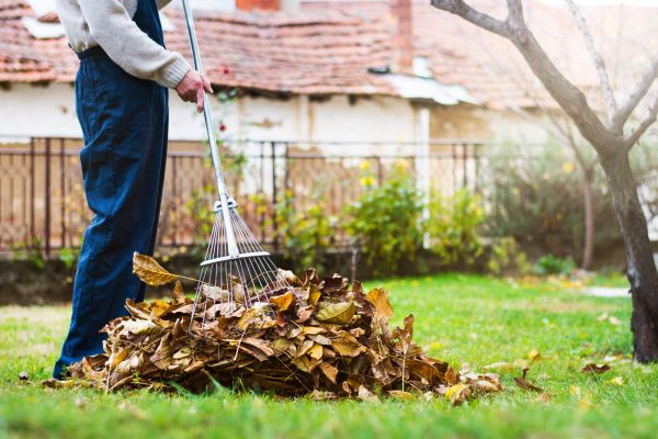 Routine Lawn Maintenance in Andover