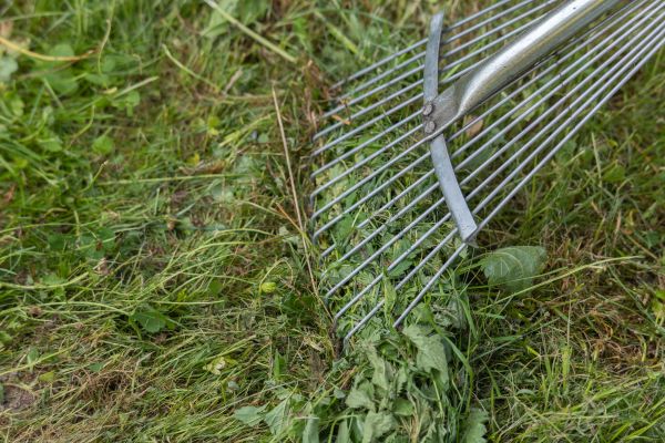 Thatch Raking in Andover