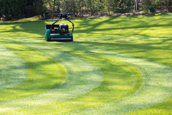 Business Lawn Mowing Service