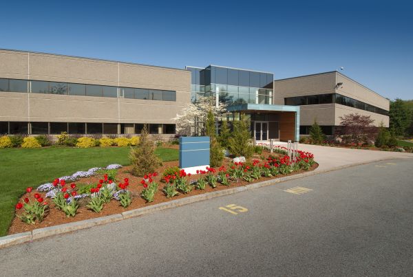 Commercial Groundskeeping in Andover