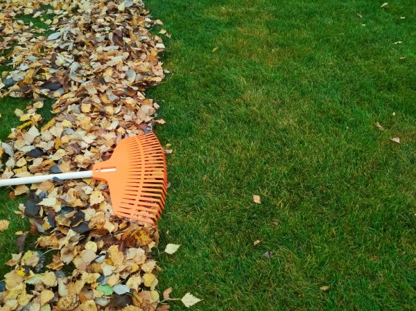 Fall Lawn Care in Andover