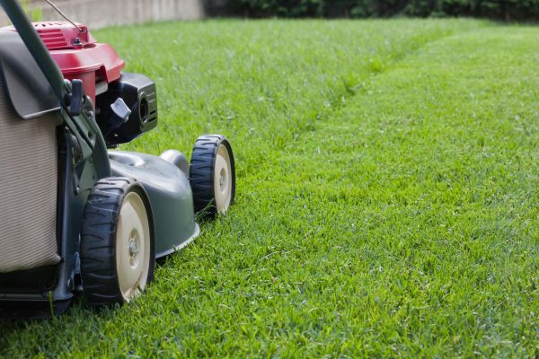 Spring Lawn Maintenance in Andover