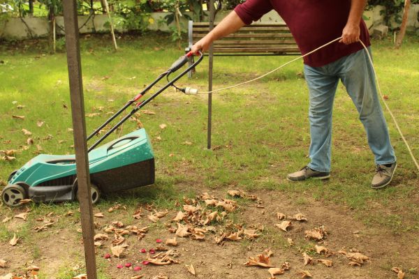 Cost of Leaves Mowing in Andover