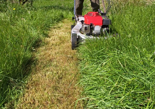 Leaf Mowing in Andover