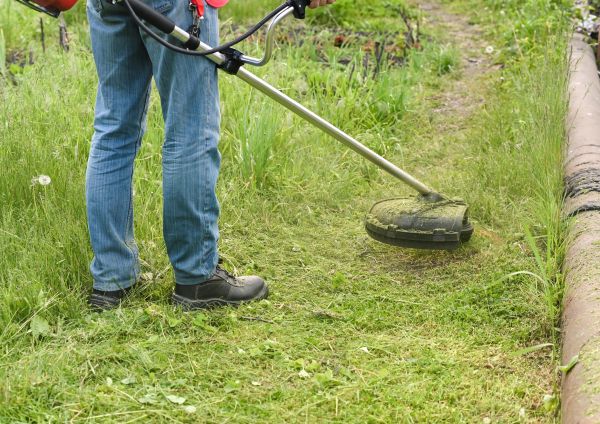 Tall Grass Trimming in Andover
